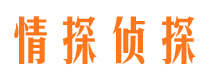 海南外遇调查取证